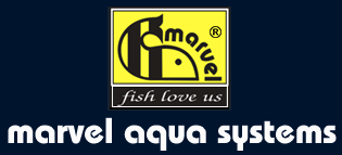 Marine Aquariums Logo